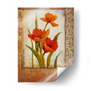 Tulip Insecto Ii - Tim OToole | Cuadro decorativo de Canvas Lab