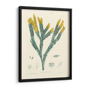 Alga Luminosa I - Henry Bradbury | Cuadro decorativo de Canvas Lab