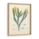 Alga Luminosa I - Henry Bradbury | Cuadro decorativo de Canvas Lab