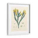 Alga Luminosa I - Henry Bradbury | Cuadro decorativo de Canvas Lab