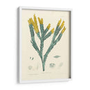 Alga Luminosa I - Henry Bradbury | Cuadro decorativo de Canvas Lab