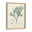 Alga Luminosa Ii - Henry Bradbury | Cuadro decorativo de Canvas Lab
