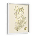Alga Dramática Iii - Vision Studio | Cuadro decorativo de Canvas Lab