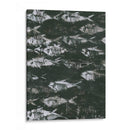 Fosilizado I - Norman Wyatt Jr. | Cuadro decorativo de Canvas Lab