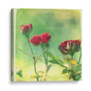 Esperando En Púrpura Ii - Jennifer Jorgensen | Cuadro decorativo de Canvas Lab