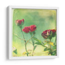 Esperando En Púrpura Ii - Jennifer Jorgensen | Cuadro decorativo de Canvas Lab