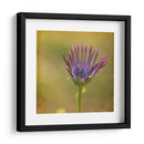 Esperando En Púrpura Iii - Jennifer Jorgensen | Cuadro decorativo de Canvas Lab