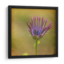 Esperando En Púrpura Iii - Jennifer Jorgensen | Cuadro decorativo de Canvas Lab