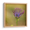 Esperando En Púrpura Iii - Jennifer Jorgensen | Cuadro decorativo de Canvas Lab