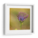 Esperando En Púrpura Iii - Jennifer Jorgensen | Cuadro decorativo de Canvas Lab