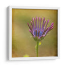 Esperando En Púrpura Iii - Jennifer Jorgensen | Cuadro decorativo de Canvas Lab