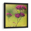 Esperando En Púrpura Iv - Jennifer Jorgensen | Cuadro decorativo de Canvas Lab