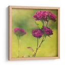 Esperando En Púrpura Iv - Jennifer Jorgensen | Cuadro decorativo de Canvas Lab