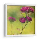 Esperando En Púrpura Iv - Jennifer Jorgensen | Cuadro decorativo de Canvas Lab