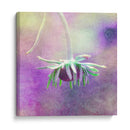 Esperando En Púrpura Vi - Jennifer Jorgensen | Cuadro decorativo de Canvas Lab