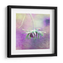 Esperando En Púrpura Vi - Jennifer Jorgensen | Cuadro decorativo de Canvas Lab