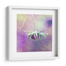 Esperando En Púrpura Vi - Jennifer Jorgensen | Cuadro decorativo de Canvas Lab