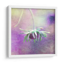 Esperando En Púrpura Vi - Jennifer Jorgensen | Cuadro decorativo de Canvas Lab