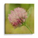 Esperando En Púrpura Vii - Jennifer Jorgensen | Cuadro decorativo de Canvas Lab