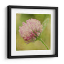 Esperando En Púrpura Vii - Jennifer Jorgensen | Cuadro decorativo de Canvas Lab