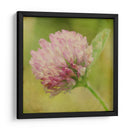 Esperando En Púrpura Vii - Jennifer Jorgensen | Cuadro decorativo de Canvas Lab