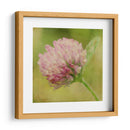 Esperando En Púrpura Vii - Jennifer Jorgensen | Cuadro decorativo de Canvas Lab