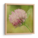 Esperando En Púrpura Vii - Jennifer Jorgensen | Cuadro decorativo de Canvas Lab