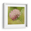 Esperando En Púrpura Vii - Jennifer Jorgensen | Cuadro decorativo de Canvas Lab