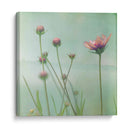 Esperando En Púrpura Viii - Jennifer Jorgensen | Cuadro decorativo de Canvas Lab