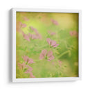 Esperando En Púrpura Ix - Jennifer Jorgensen | Cuadro decorativo de Canvas Lab