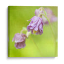 Esperando En Púrpura X - Jennifer Jorgensen | Cuadro decorativo de Canvas Lab