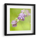 Esperando En Púrpura X - Jennifer Jorgensen | Cuadro decorativo de Canvas Lab