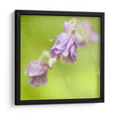 Esperando En Púrpura X - Jennifer Jorgensen | Cuadro decorativo de Canvas Lab