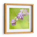 Esperando En Púrpura X - Jennifer Jorgensen | Cuadro decorativo de Canvas Lab