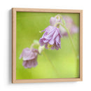 Esperando En Púrpura X - Jennifer Jorgensen | Cuadro decorativo de Canvas Lab