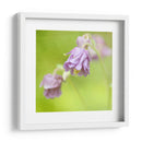 Esperando En Púrpura X - Jennifer Jorgensen | Cuadro decorativo de Canvas Lab