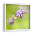 Esperando En Púrpura X - Jennifer Jorgensen | Cuadro decorativo de Canvas Lab