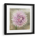 Esperando En Púrpura Xii - Jennifer Jorgensen | Cuadro decorativo de Canvas Lab