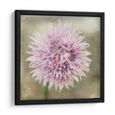 Esperando En Púrpura Xii - Jennifer Jorgensen | Cuadro decorativo de Canvas Lab