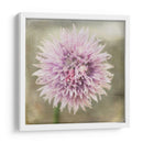 Esperando En Púrpura Xii - Jennifer Jorgensen | Cuadro decorativo de Canvas Lab