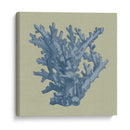 Chambray Coral I - Vision Studio | Cuadro decorativo de Canvas Lab