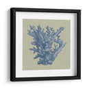 Chambray Coral I - Vision Studio | Cuadro decorativo de Canvas Lab