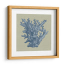 Chambray Coral I - Vision Studio | Cuadro decorativo de Canvas Lab