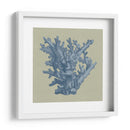 Chambray Coral I - Vision Studio | Cuadro decorativo de Canvas Lab