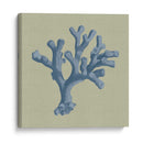 Chambray Coral Ii - Vision Studio | Cuadro decorativo de Canvas Lab