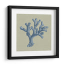Chambray Coral Ii - Vision Studio | Cuadro decorativo de Canvas Lab