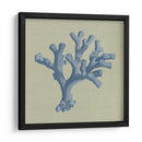 Chambray Coral Ii - Vision Studio | Cuadro decorativo de Canvas Lab