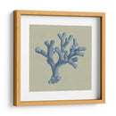 Chambray Coral Ii - Vision Studio | Cuadro decorativo de Canvas Lab
