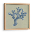 Chambray Coral Ii - Vision Studio | Cuadro decorativo de Canvas Lab