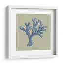 Chambray Coral Ii - Vision Studio | Cuadro decorativo de Canvas Lab